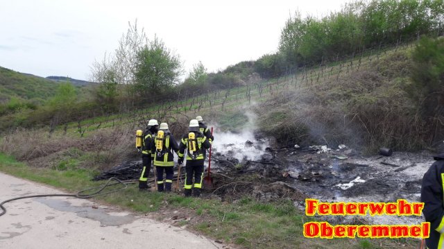 Flaechenbrand Radweg Rosenberg 25_04_17 (3)